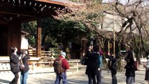 桜開花 東京 靖国神社 2011年3月28日 Japan Tokyo Yasukuni cherry blossom