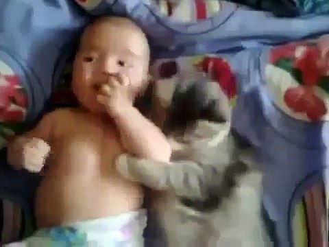 Funny Video Baby Clips Cute Cat Loves Baby From Funny And Cute Cats And Babies new 2016 funny videos latest funny videos upcoming funny videos new 2016 songs bollywood latest songs upcoming songs punjabi songs hit songs top