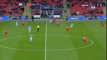 Fernandinho Goal HD - Liverpool 0-1 Manchester City - 28-02-2016