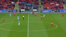 Fernandinho Goal HD - Liverpool 0-1 Manchester City - 28-02-2016