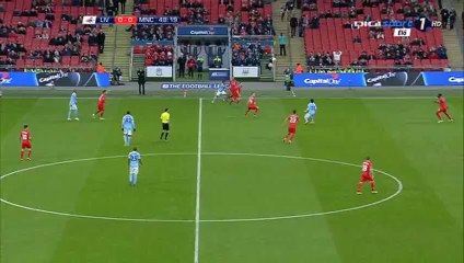 Fernandinho Goal HD - Liverpool 0-1 Manchester City - 28-02-2016