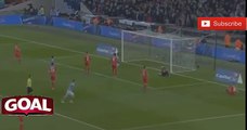 Liverpool vs Manchester City 0-1  Fernandinho Goal   Final Capital One Cup