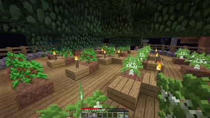 Minecraft Multiplayer gameplay!