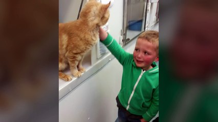 Little boy finds long lost cat in rescue centre