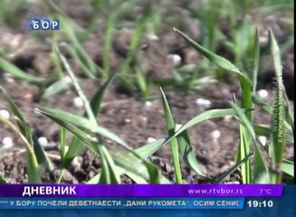Dnevnik, 28. februar 2016. (RTV Bor)