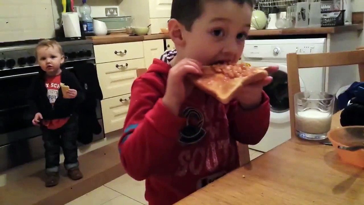 В тосты с бобами явно что то подмешивают новые лучшие прикол самые смешное видео Фейлы fail коты д