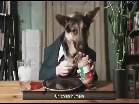 Приколы с кошками,котами и с животными Собака ест человеческими руками!Жесть!!!