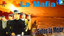 La Mafia 15 Grandes Exitos Lo Mas escuchado antaño mix