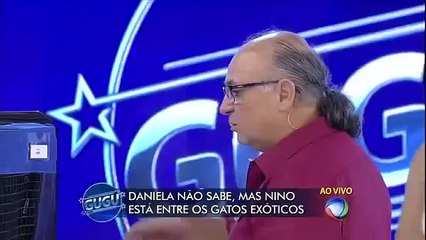 Gato perdido ataca dona no Programa do Gugu