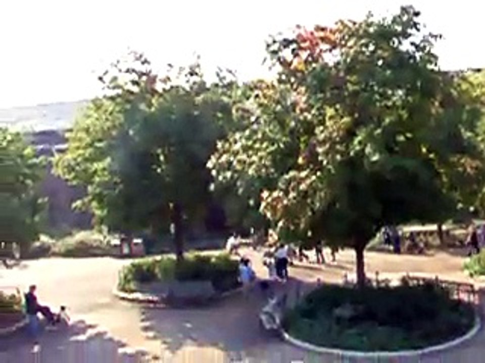 Lincoln Zoo by walicki