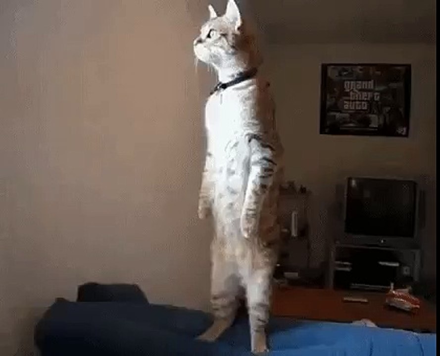 Эй вы там???