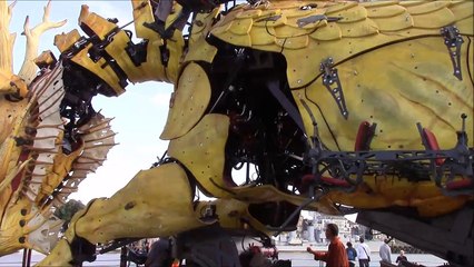 Long Ma nous ouvre son coeur