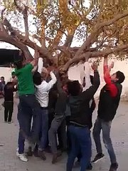 tharki boys  funny