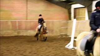 Anemones first jumping lesson.