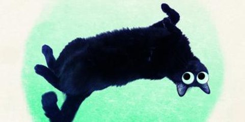 Sugar & Tiger chante "Linda Ramone" dans La Bande passante