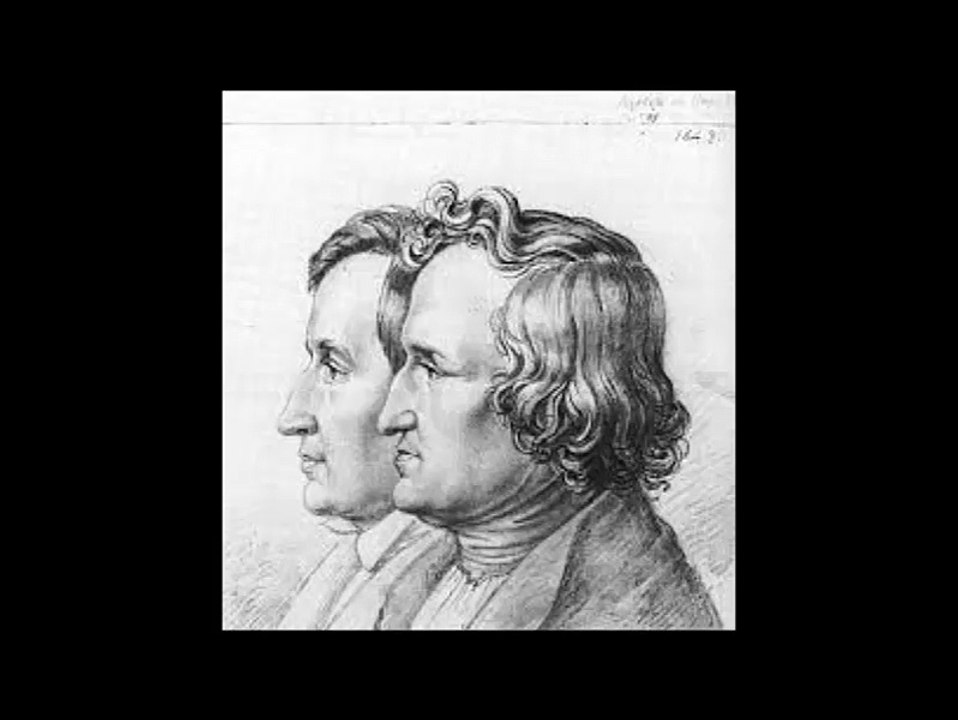 Król Drozdobrody - Jacob i Wilhelm Grimm  ( audiobook pl )