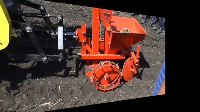 Мини трактор МТМ-10 производит посадку картофеля задней навеской картофелесажалкой