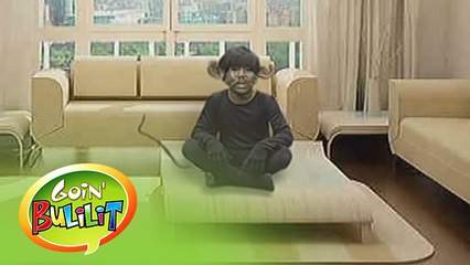 Goin' Bulilit: Angry Mouse