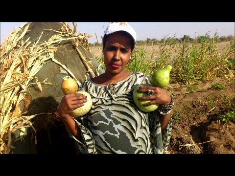 Zamzam Ali Robleh HEES CUSUB 2012