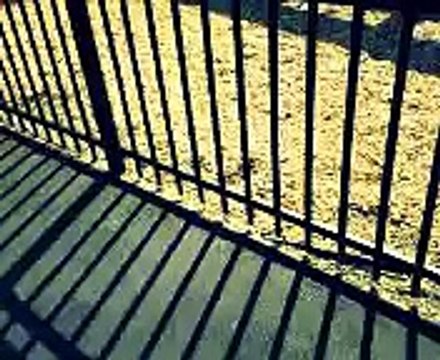 Electro Spin Ride at Luna Park in Coney Island