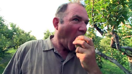 Waupoos, Prince Edward County - Ontario, Canada