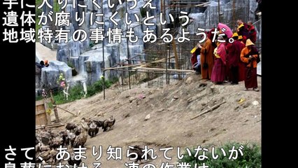 【閲覧注意】チベットの風習、鳥葬がやばい・・人が食べられる・・