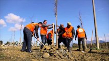 Report TV - Veliaj dëgjesë me shoqërinë civile   për Parkun: Fotografim pemëve