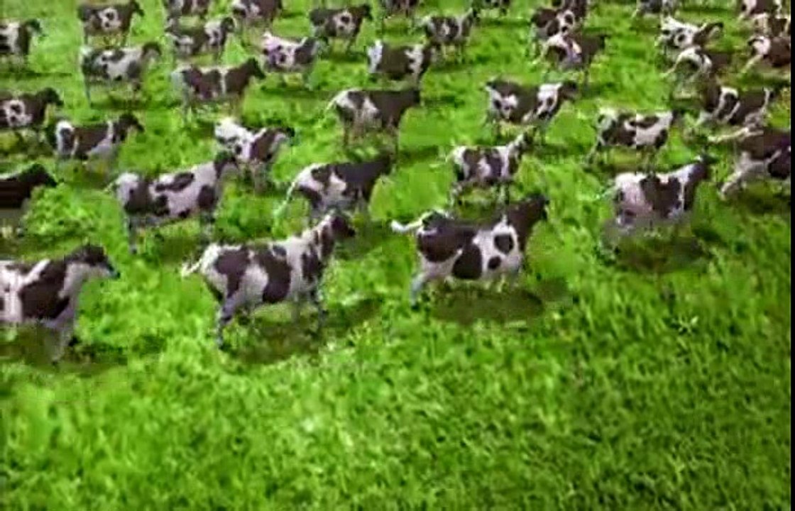 Sütaş 41. Yıl Reklamı