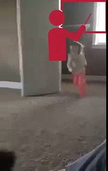 dog copying cartwheels Funny Video