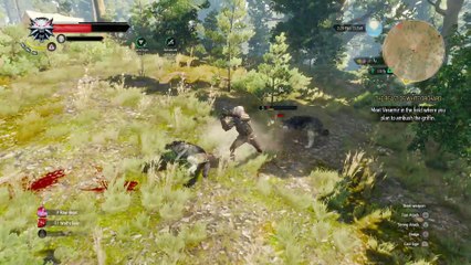 THE WITCHER 3 WALKTHROUGH PART 17 - THE BEAST OF WHITE ORCHARD