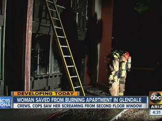 Police officers help rescue woman and pets from fire