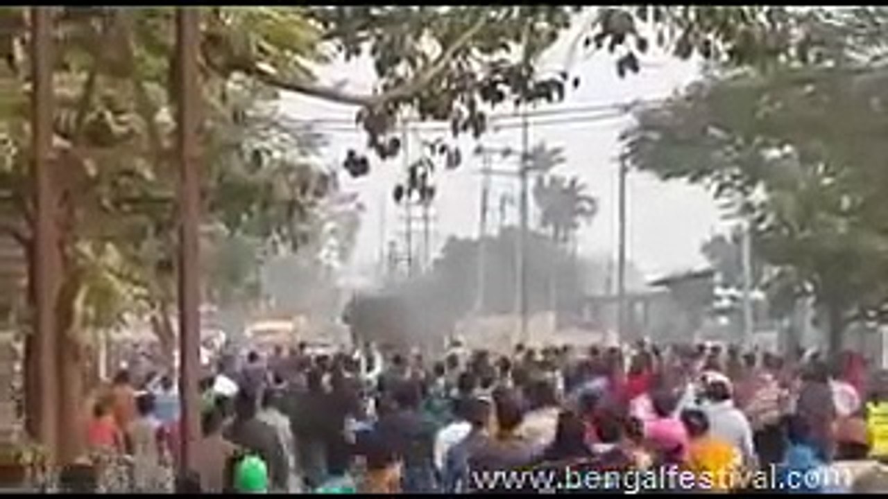 India Elephant Chaos