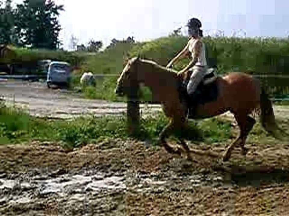 nirvana obstacle