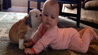 2016 Funniest Amazing Babies and Kids Hilarious Compilation Videos