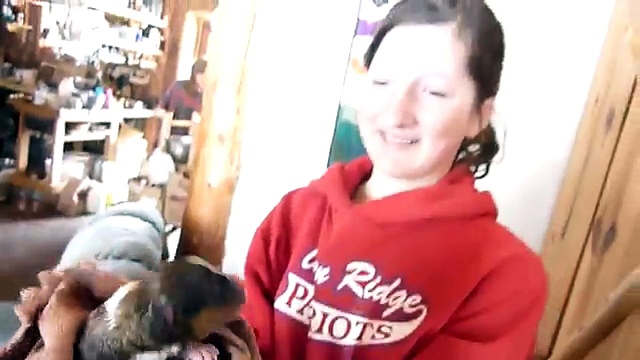 Elle met un chiot dans une portée de chatons, mais ce que fait la maman chatte est trop tendre !