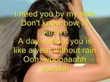 Selena Gomez - A year without rain LYRICS