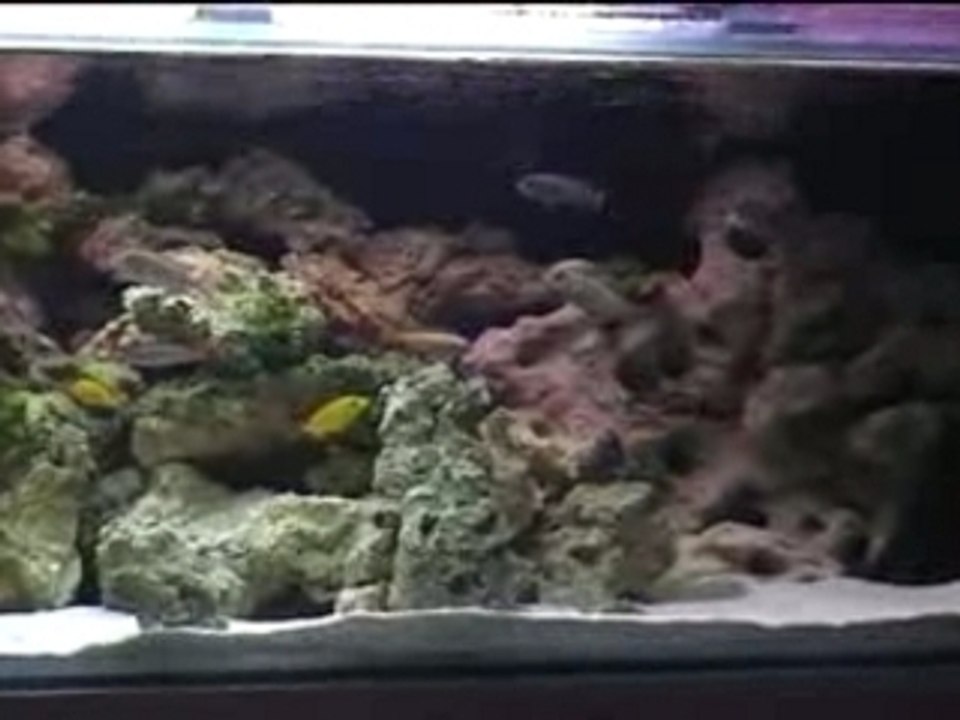 Bac malawi  4ème partie