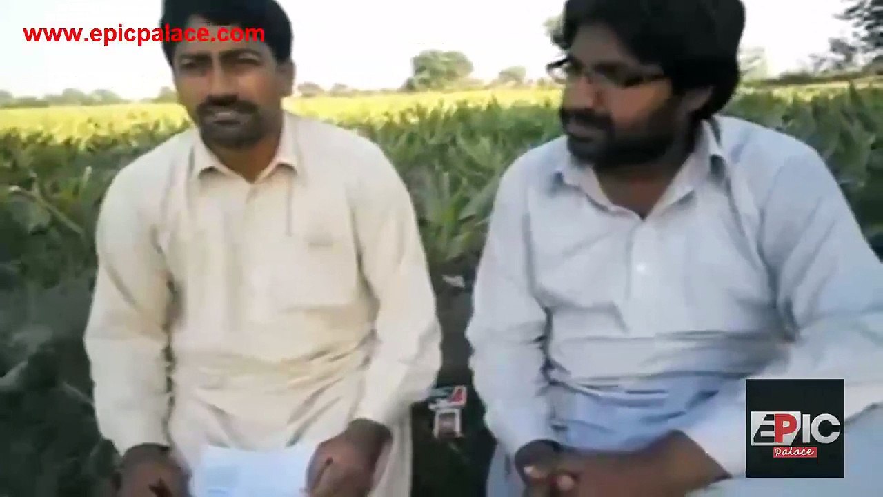 Funny Punjabi Poetry - America Dy Kammi Sary