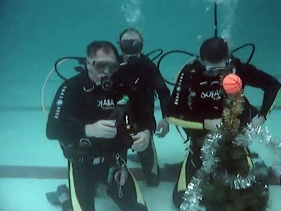 Новый год с дайв клубом Подводный мир(Ёлка под водой)