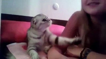 Дай поцелую