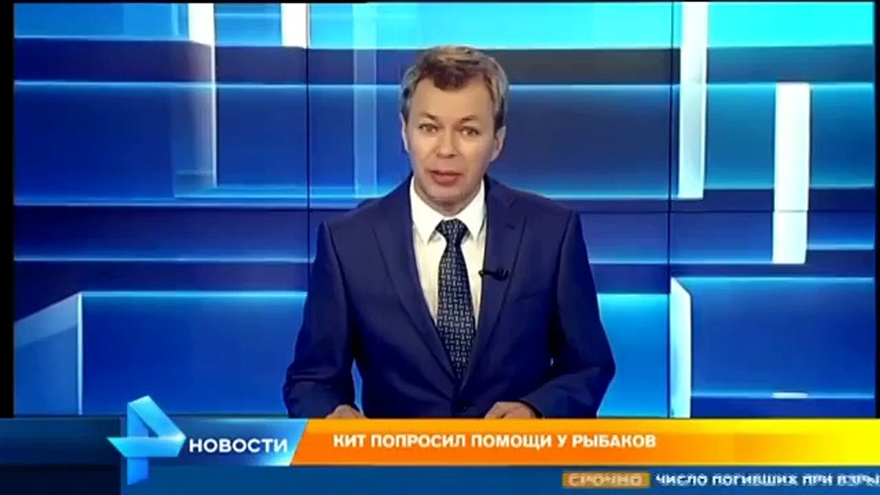 Огромный кит попросил помощи у рыбаков