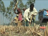 গাইবান্ধায় গড়ে উঠছে অবৈধ ইটভাটা, নির্বিকার প্রশাসন