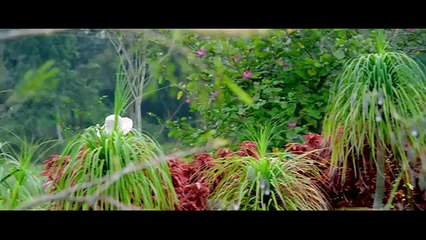 Re Kannada Movie Video Song -Nanondu Bilihaale1 -Ramesh/Harshika Punacha/Sunil Kumar Desai (FULL HD)