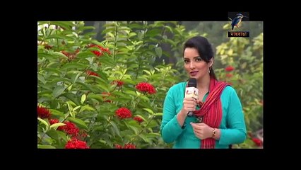 SHERA RADHUNI 1422-EPISODE 02