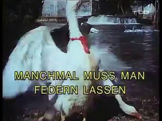 Klemens und Klementinchen 06 Manchmal muß man Federn lassen