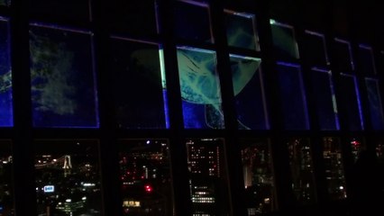 東京タワー・プロジェクションマッピング2016（田副暢宣事務所撮影）