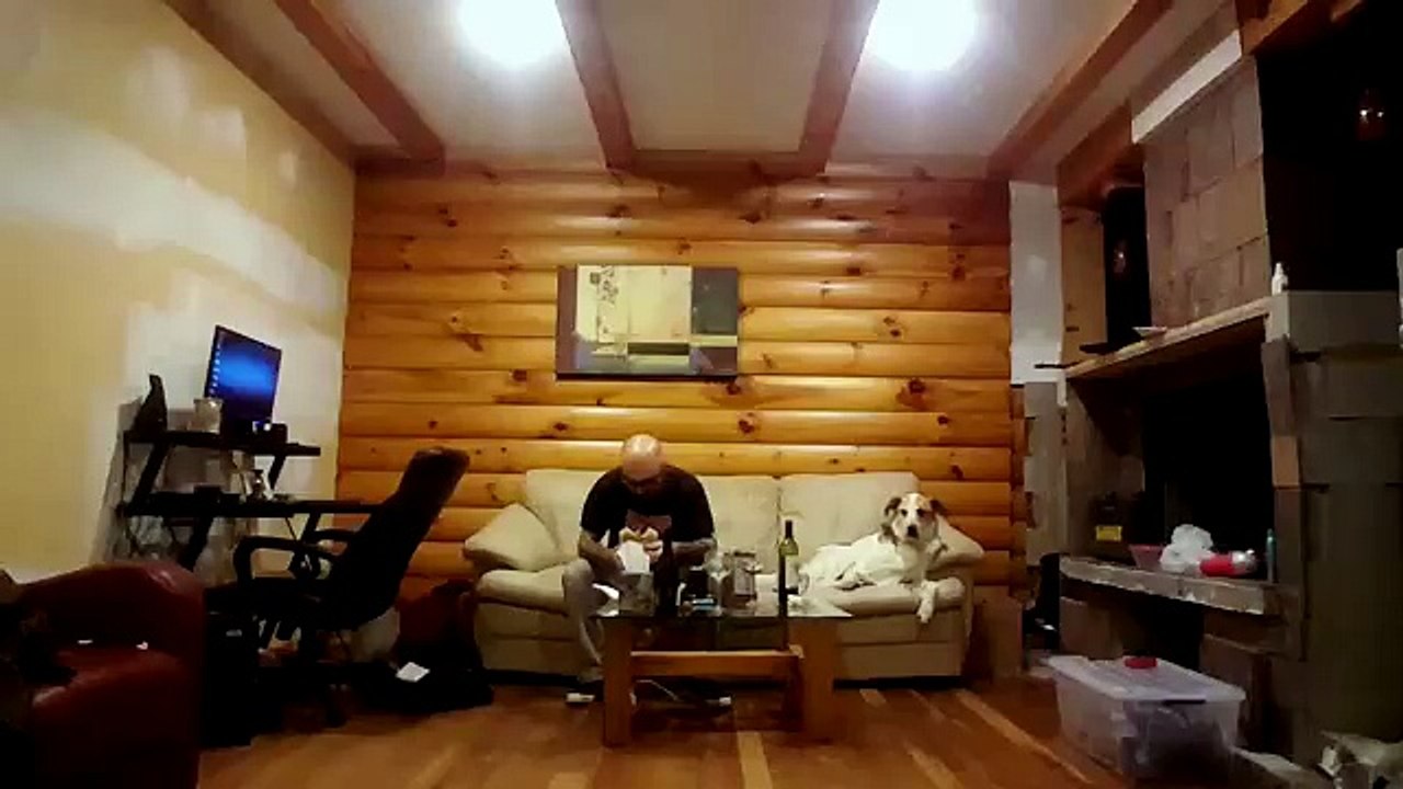 My dog likes to look at me while I eat, until I catch him and he looks away from me (FULL HD)