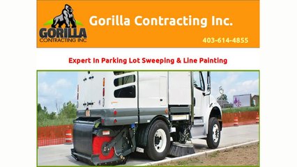 Parking Lot Sweeping and Other Property Maintenance Services