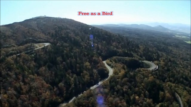 フリー アズ ア バード ビートルズ 動画 Dailymotion