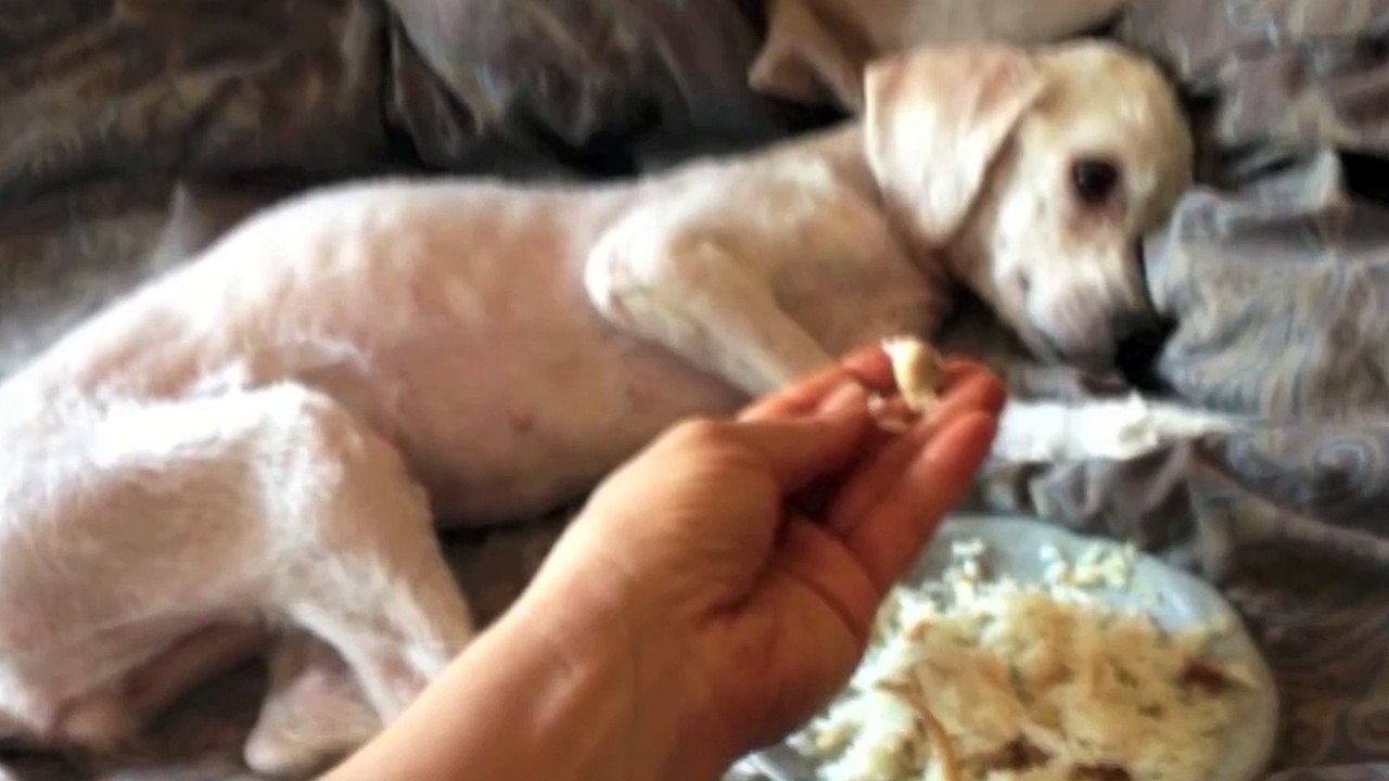 Lorsqu'ils ont assisté à CE moment précis, ils ont compris qu'il restait toujours un espoir.